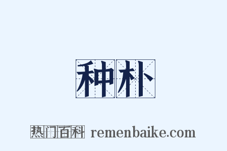 种朴是什么意思的图片